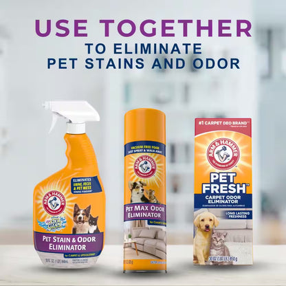 15 Oz. Pet Maximum Odor Eliminator Foam (6-Pack)